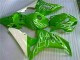 06-07 Green Honda CBR1000RR Motorcycle Fairings